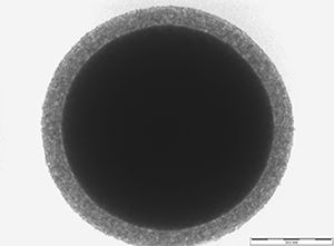 SEM Image - Eiroshell™ Particle