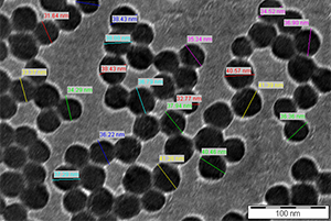 SEM Image - Nano silica particles