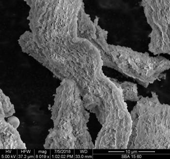 SEM of SBA-16 with 60A pores