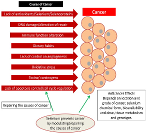 Selenium Nanoparticle Applications - Glantreo Innovative Scientific ...