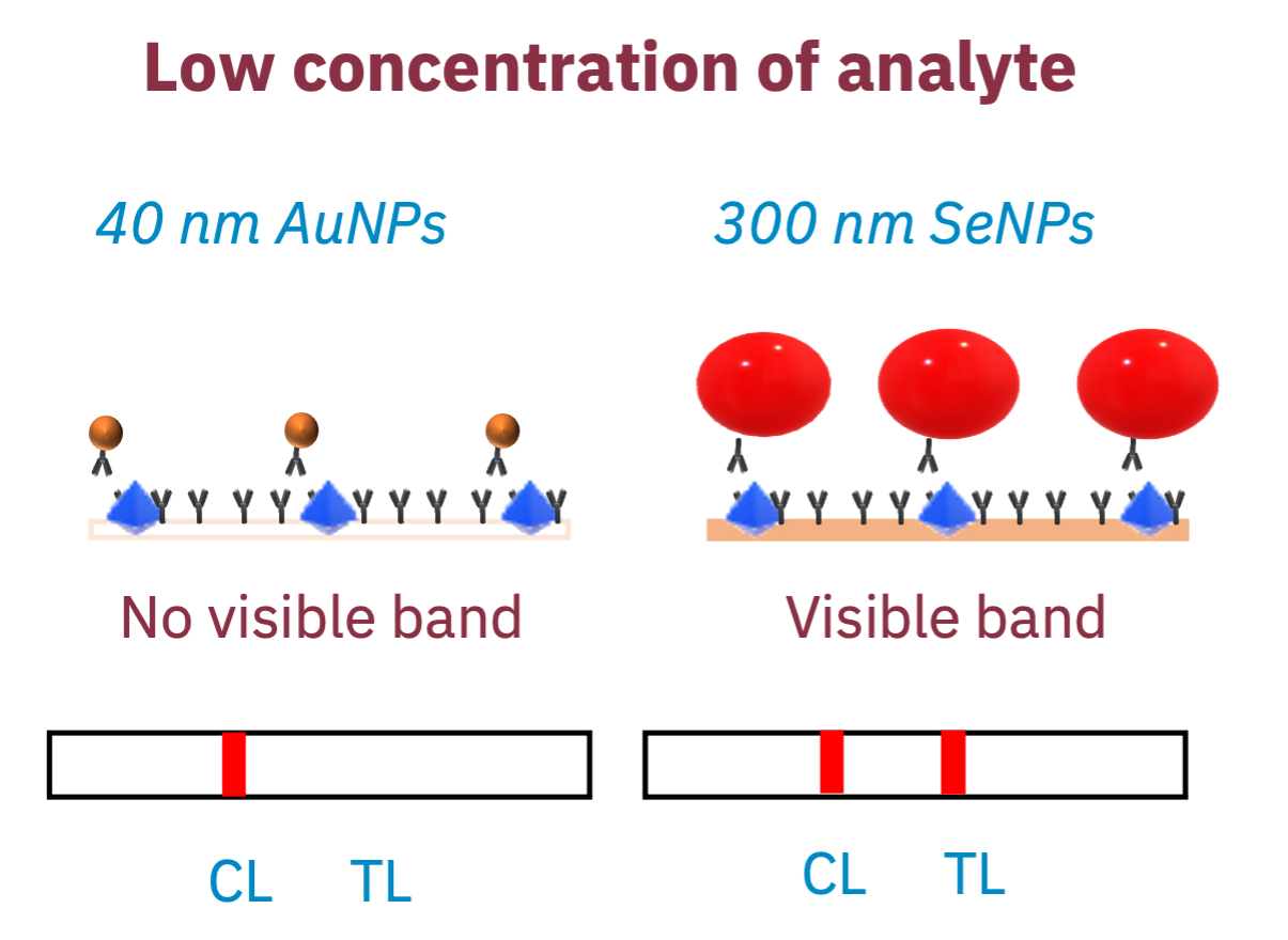 SeNP Lower Concentration of Analyse