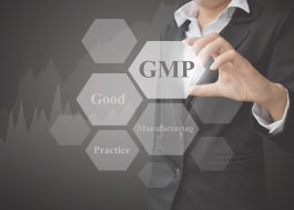 GMP Image