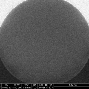 Focused Ion Beam (FIB) cross-section of SOLAS™ monodense porous silica particle